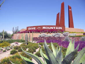Dove Mountain